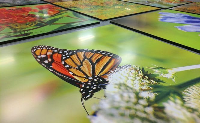 dye sublimation, chromaluxe