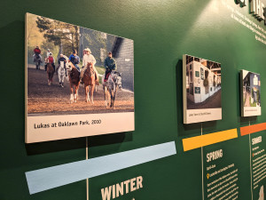 UIC_18KYderby_IMG_20181127_105338_web        